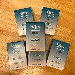 Disney Resorts / H2O soap products